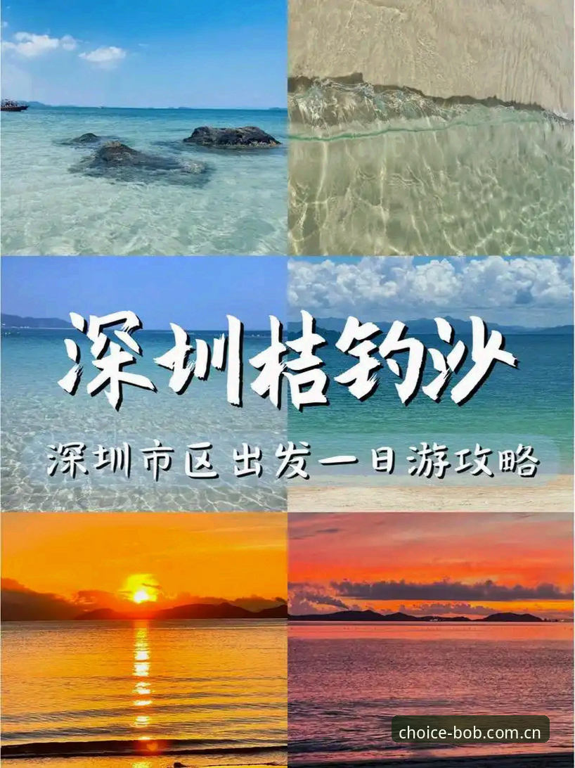 半岛体育官网教程：官方APP与网页版全面对比，哪个更适合你？
